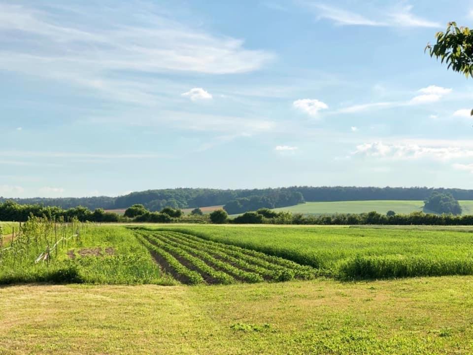 Agroturystyka „Nadbuzanski Swit” Wola Uhruska Exteriör bild