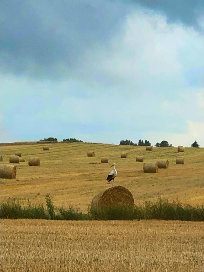 Agroturystyka „Nadbuzanski Swit” Wola Uhruska Exteriör bild